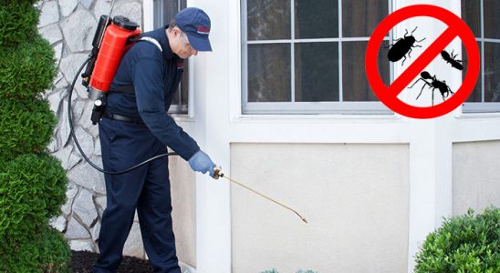 Koçarlı Akrep İlaçlama böcek ilaçlama ve haşere kontrolü — ilaclama-tr.com